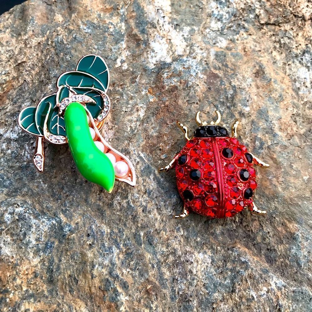 Ladybug & Peapod Brooch‎